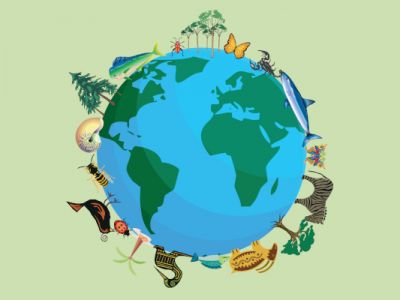 Proteger sem Possuir - A Importância da Biodiversidade dentro de Contexto de Agenda ESG
