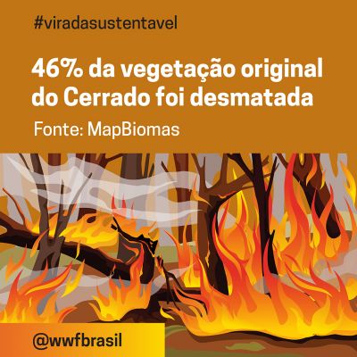 WWF-Brasil  #ÉTempoDeRestaurar