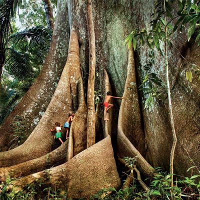 Virada Sustentável Belém divulga primeiras atrações